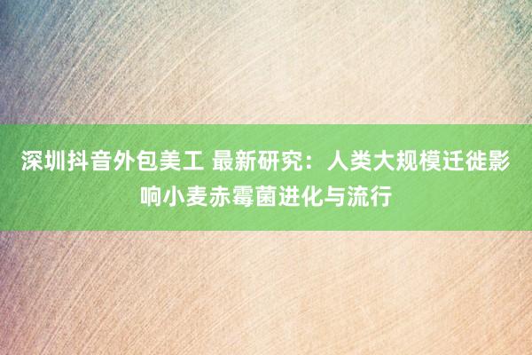 深圳抖音外包美工 最新研究：人类大规模迁徙影响小麦赤霉菌进化与流行