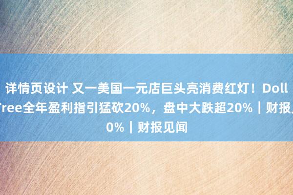 详情页设计 又一美国一元店巨头亮消费红灯！Dollar Tree全年盈利指引猛砍20%，盘中大跌超20%｜财报见闻