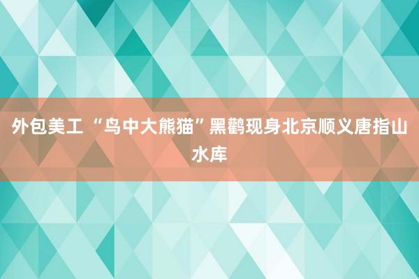 外包美工 “鸟中大熊猫”黑鹳现身北京顺义唐指山水库